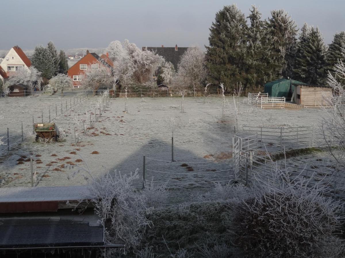 Ferienwohnung Gruenewaldstrasse 22 Bünde Zewnętrze zdjęcie